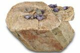 Peach Microcline Cluster With Purple Fluorite - Colorado #259956-1